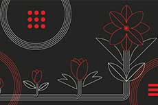 Сценарий развития долгового рынка в 2026 году: между охлаждением экономики и рекордами